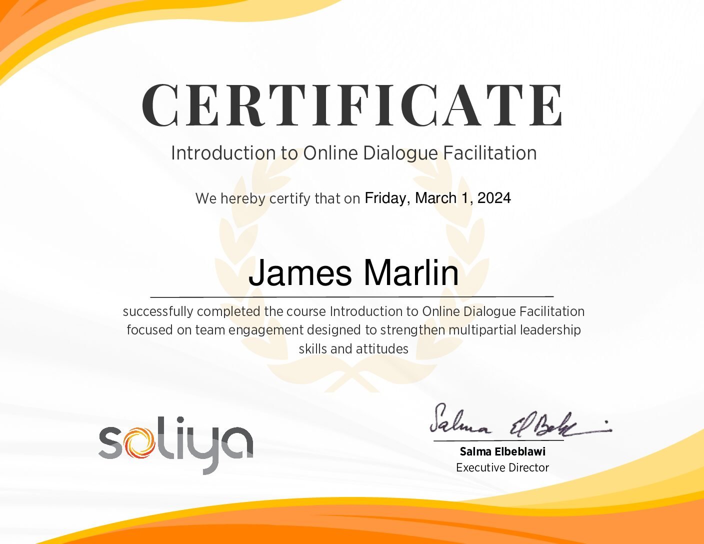 Introduction_to_Online_Dialogue_Facilitation_Course_Certificate_Introduction_to_Online_Dialogue_Facilitation_-_January_24_Marlin-4-pdf
